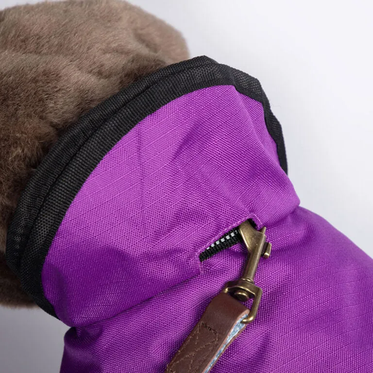 2 in 1 dog Coat