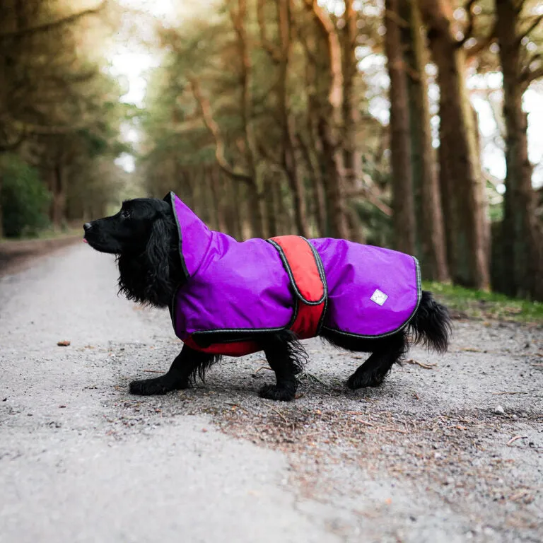 2 in 1 dog Coat