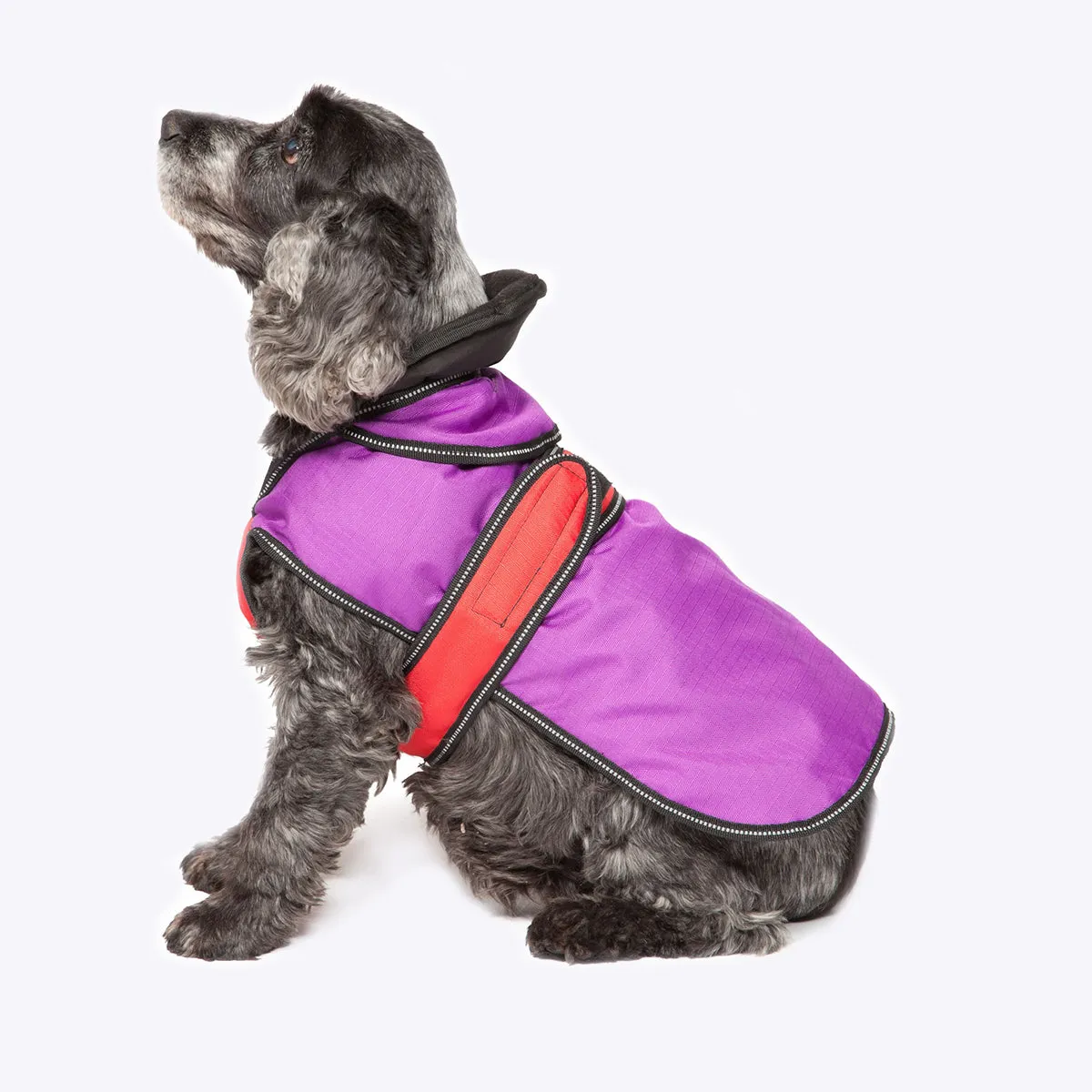 2 in 1 dog Coat