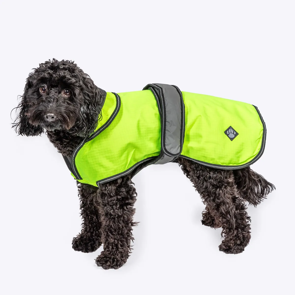 2 in 1 dog Coat