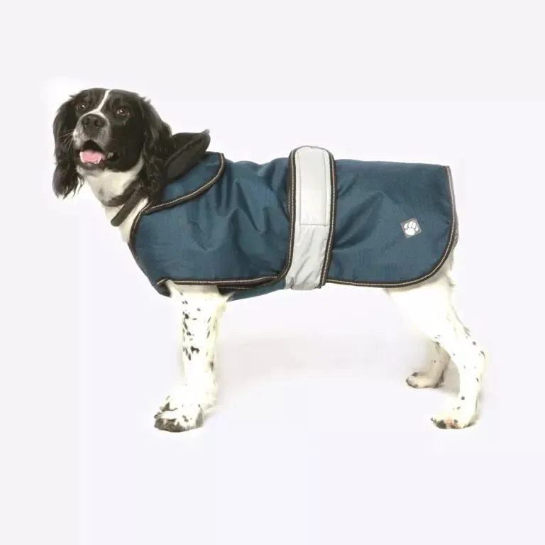 2 in 1 dog Coat