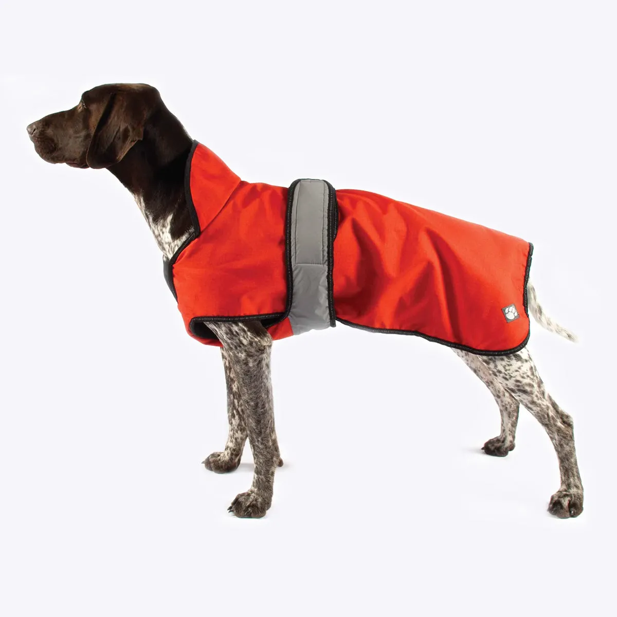 2 in 1 dog Coat