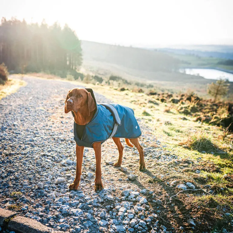 2 in 1 dog Coat