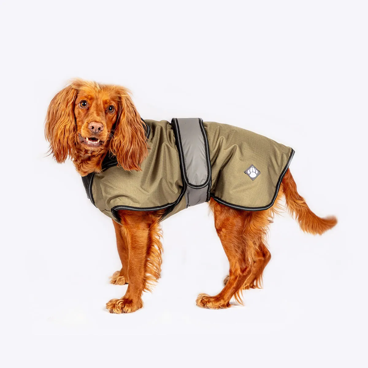 2 in 1 dog Coat