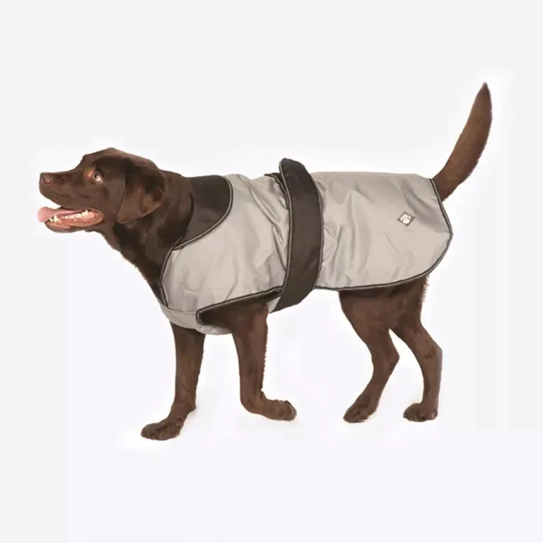 2 in 1 dog Coat