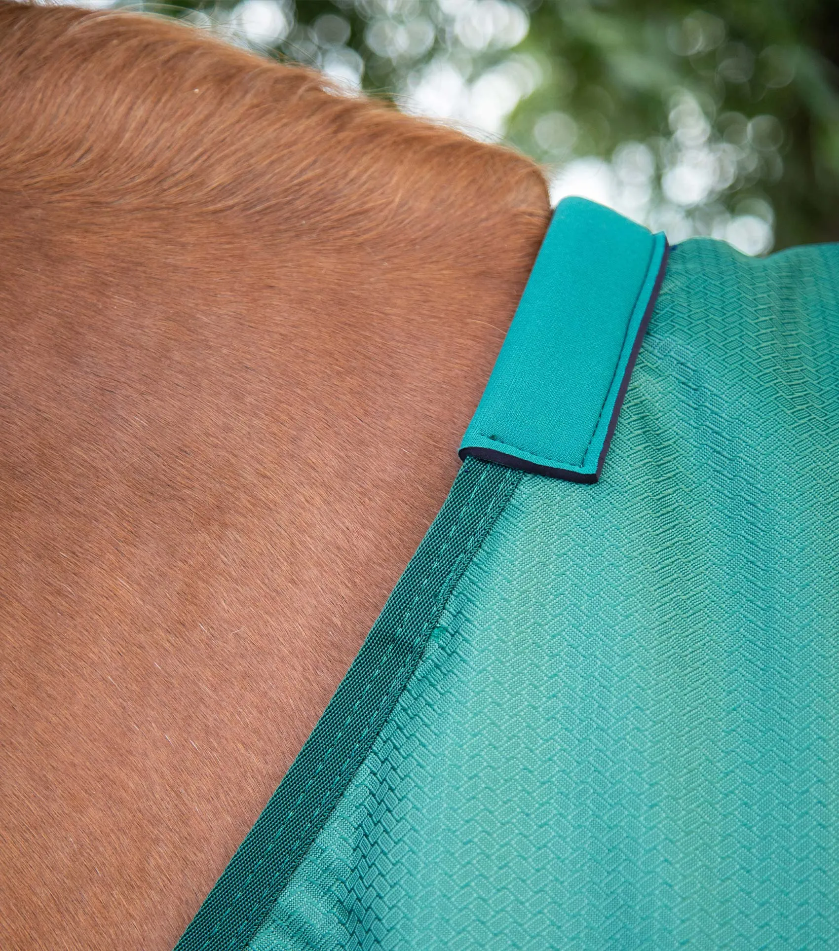 Akoni 0g Original Turnout Rug Green