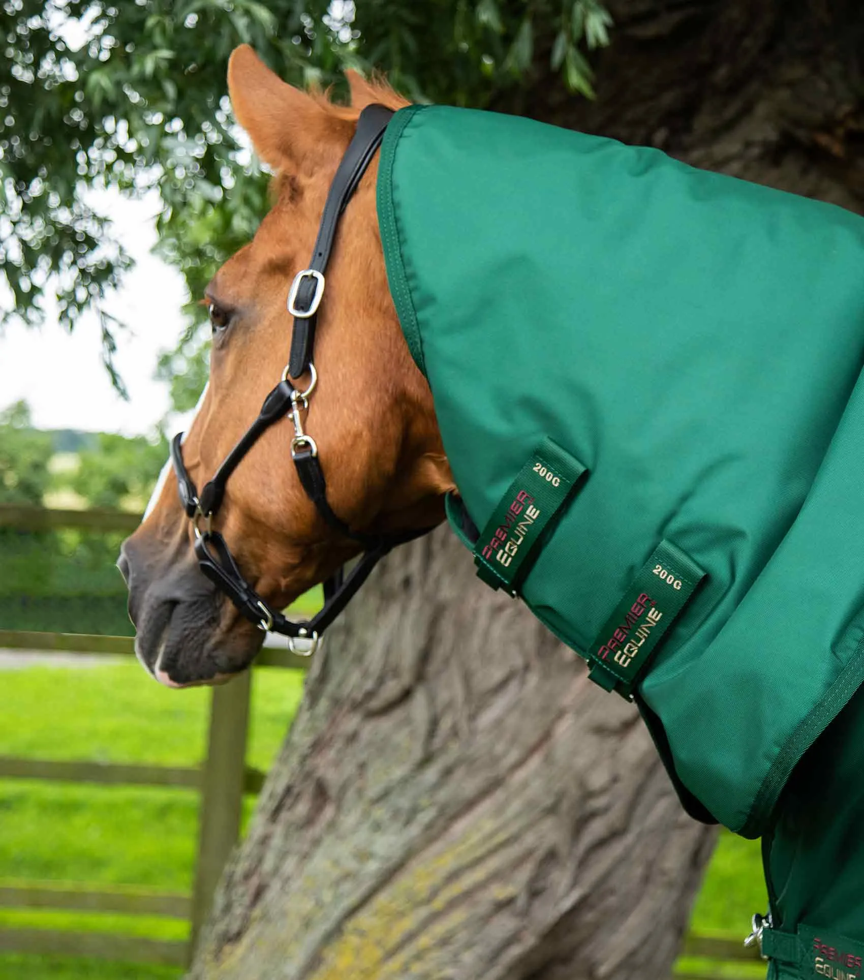 Buster Storm 220g Combo Turnout Rug with Classic Neck Green