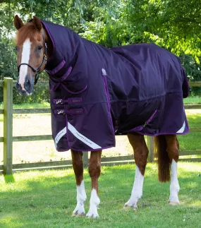 Buster Storm 420g Combo Turnout Rug with Classic Neck Purple