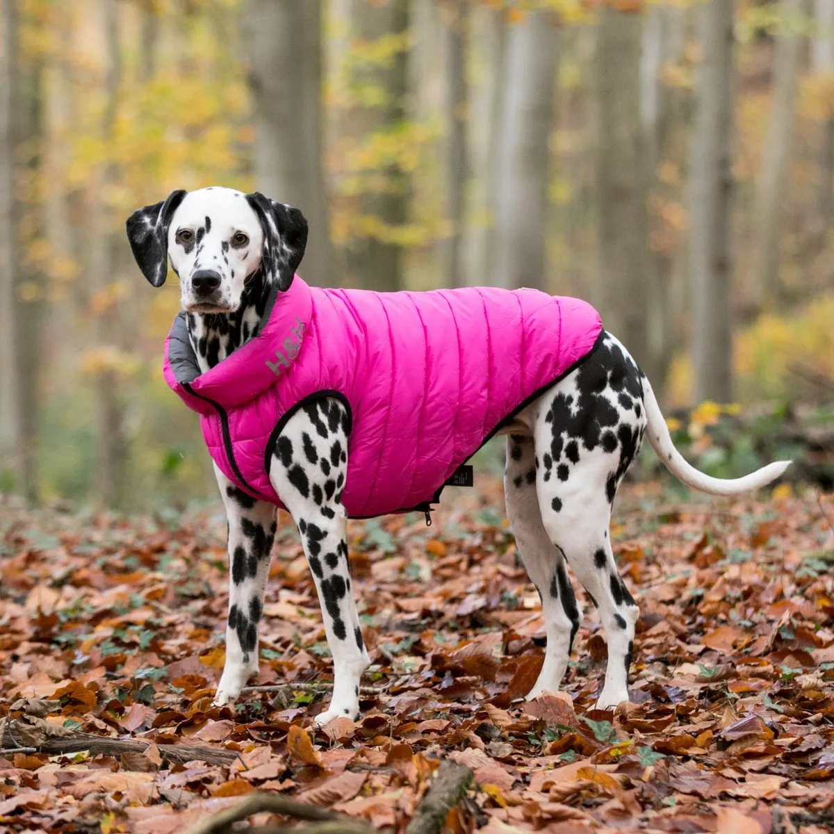 Hugo & Hudson Puffer Jacket for Dogs