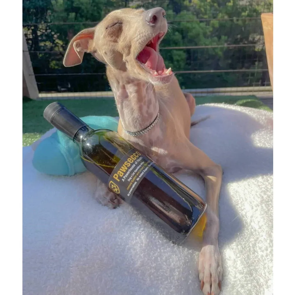 L'Barkery Pawsecco Sparkling Wine Bottle