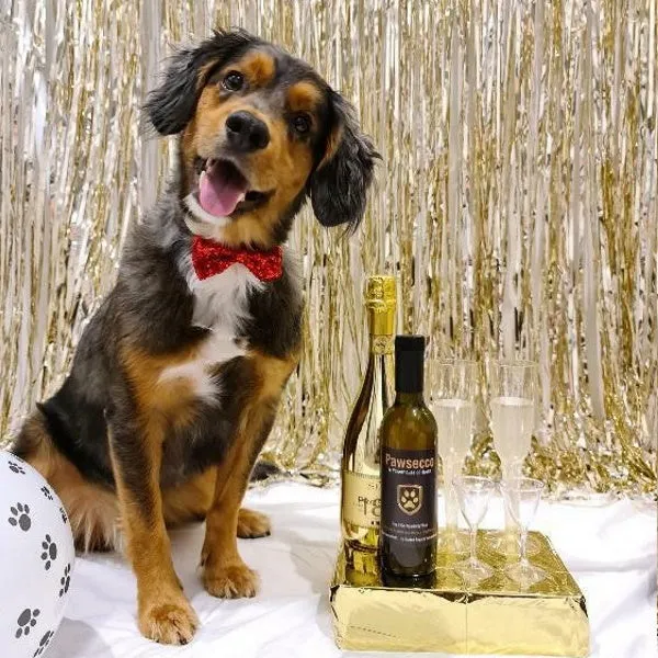 L'Barkery Pawsecco Sparkling Wine Bottle