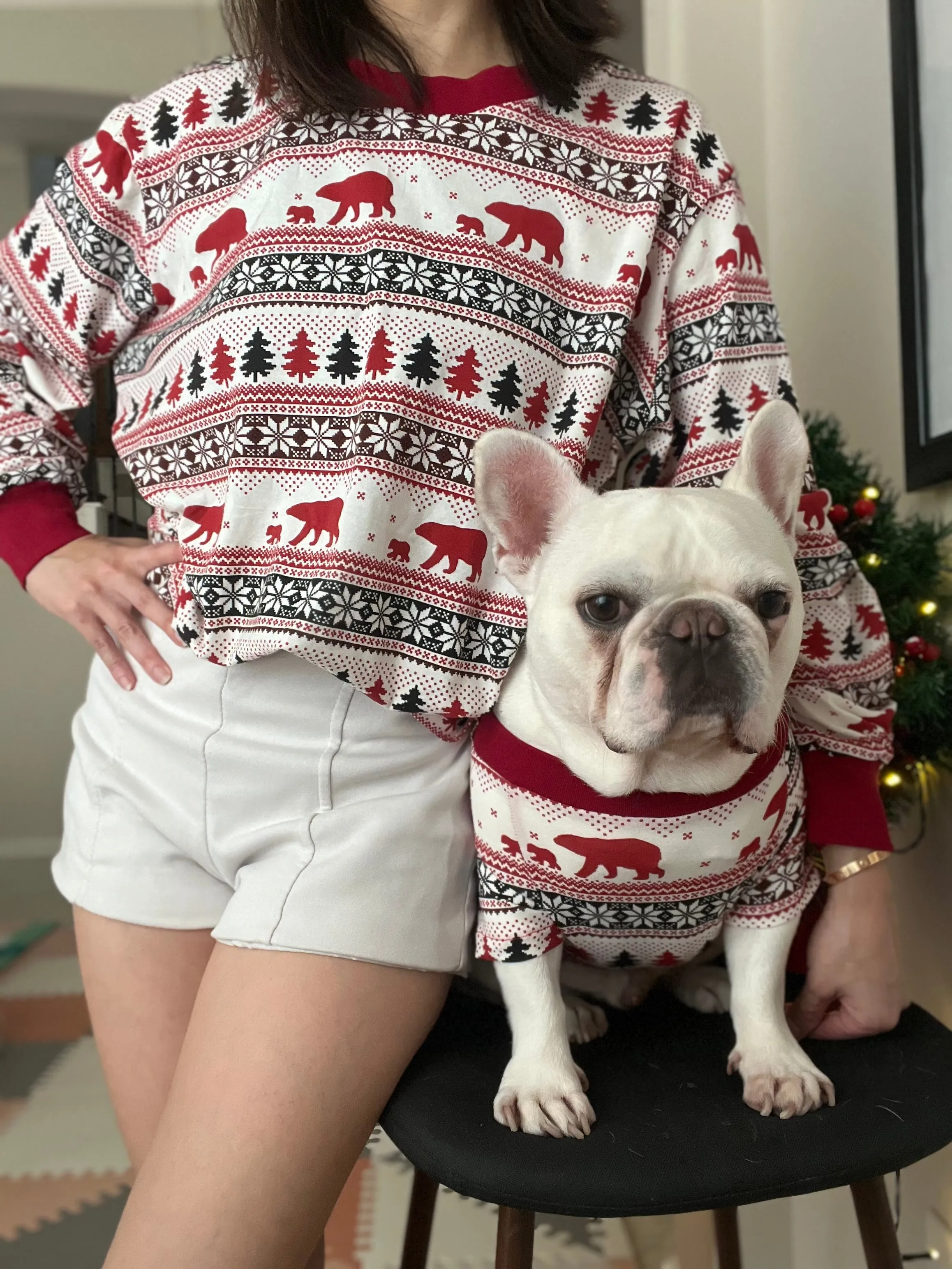 North Pole Polar Bears Christmas Owner and Pet Family Matching Sweatshirt