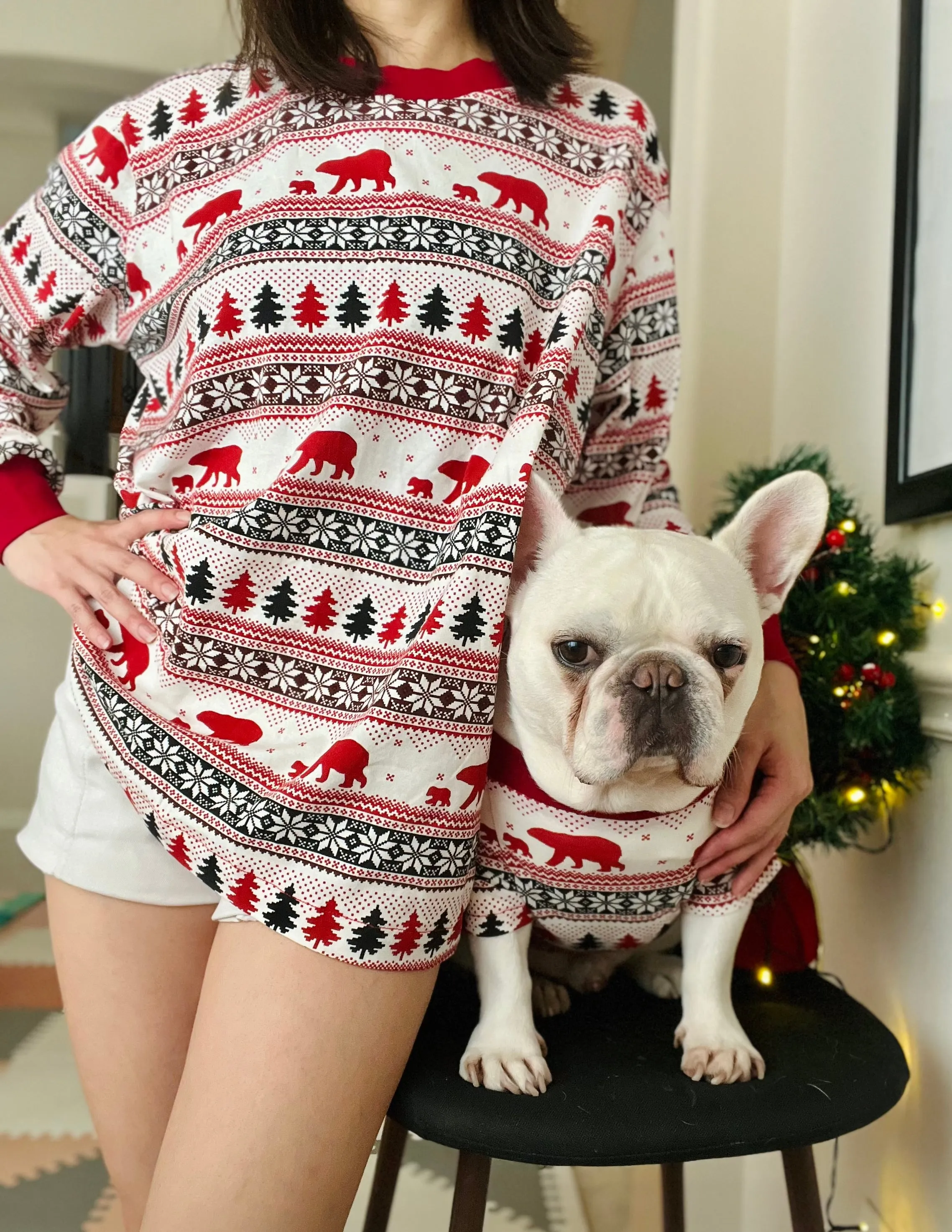 North Pole Polar Bears Christmas Owner and Pet Family Matching Sweatshirt