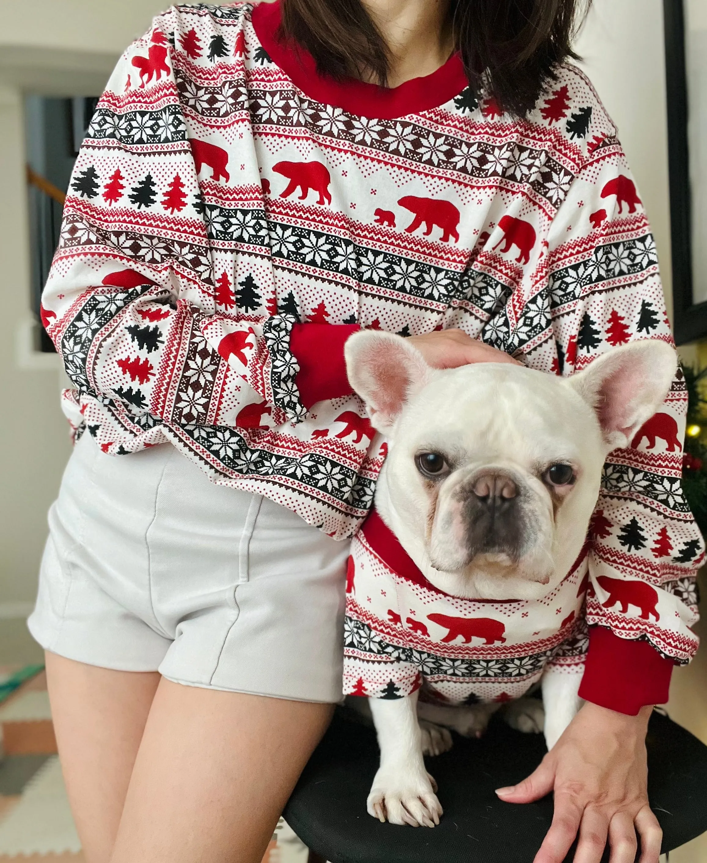 North Pole Polar Bears Christmas Owner and Pet Family Matching Sweatshirt