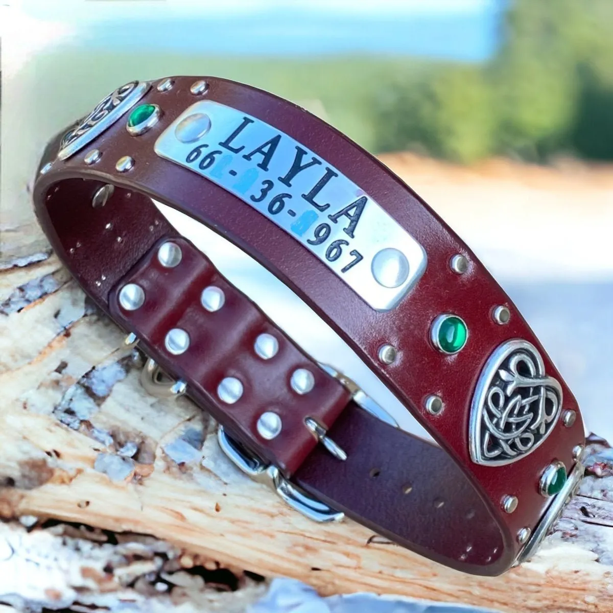 Personalized Leather Dog Collar Celtic