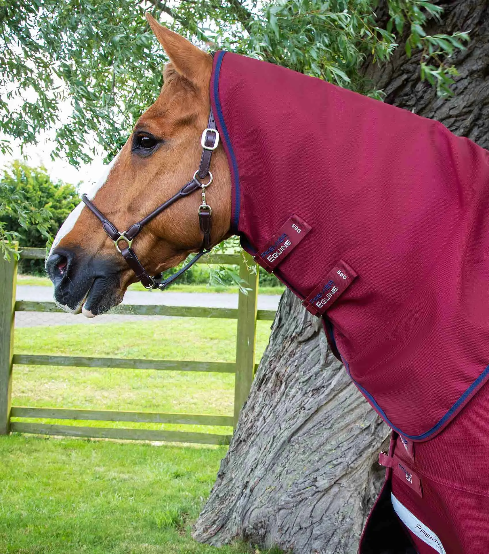 Titan 50g Turnout Rug with Classic Neck Cover Burgundy